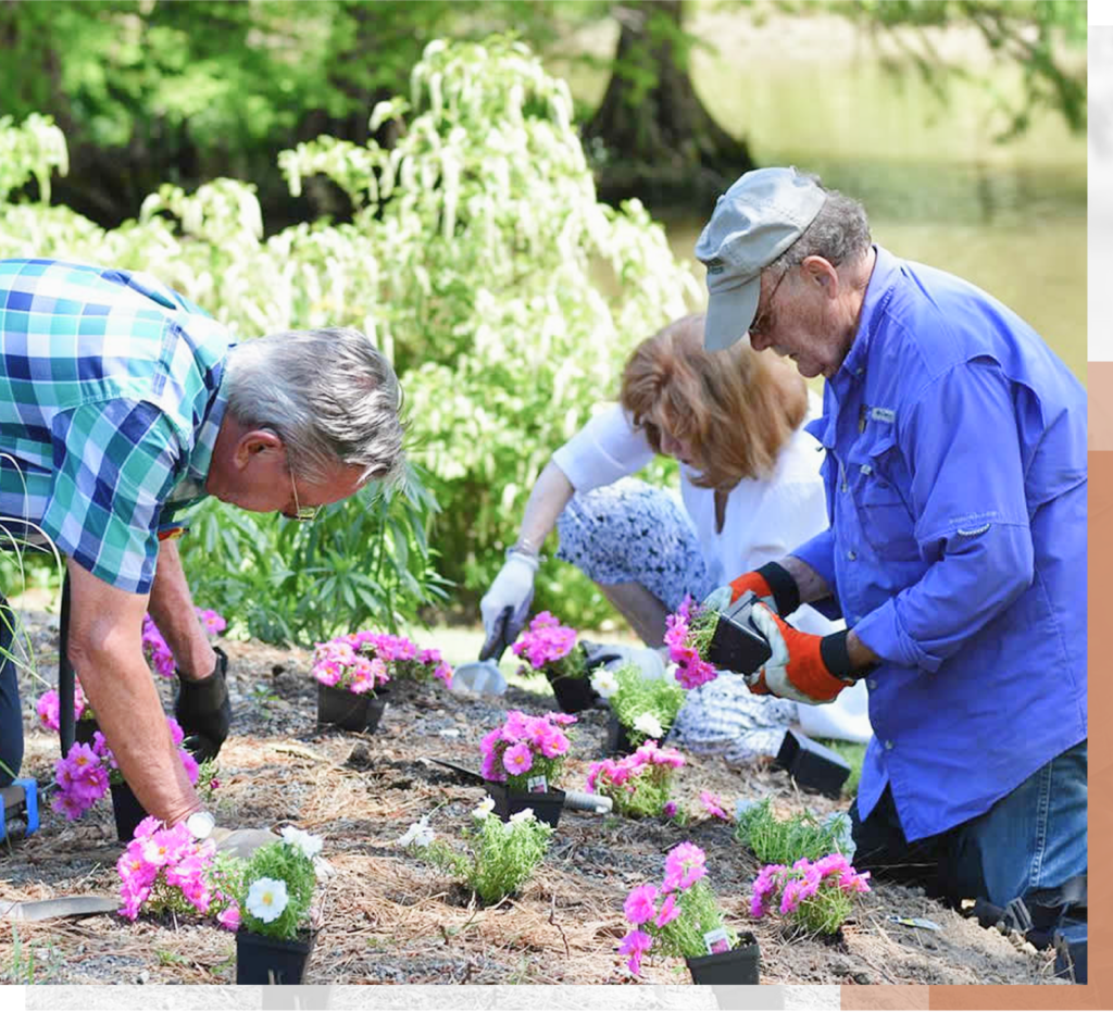 History _ Volunteers Planting Flowers