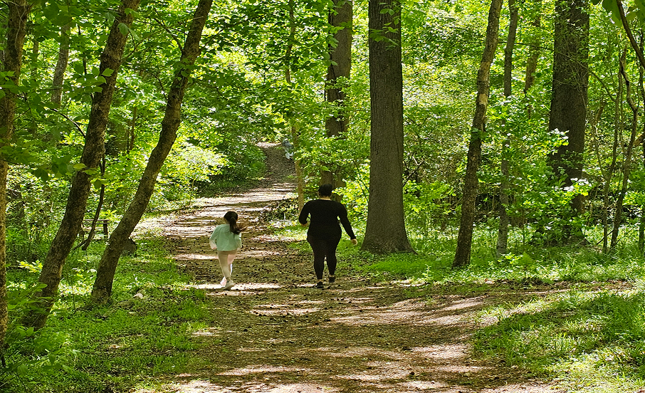 river trail