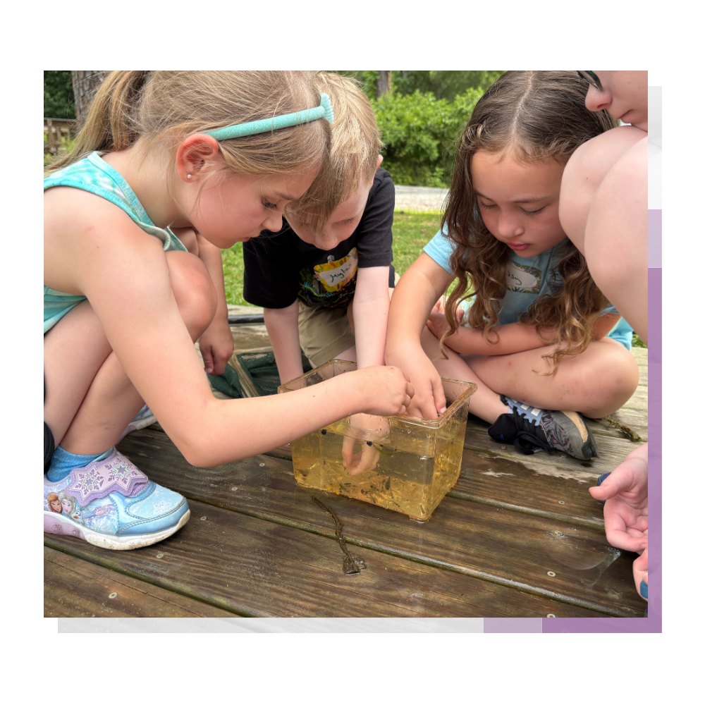 Summer at the Garden is filled with adventure