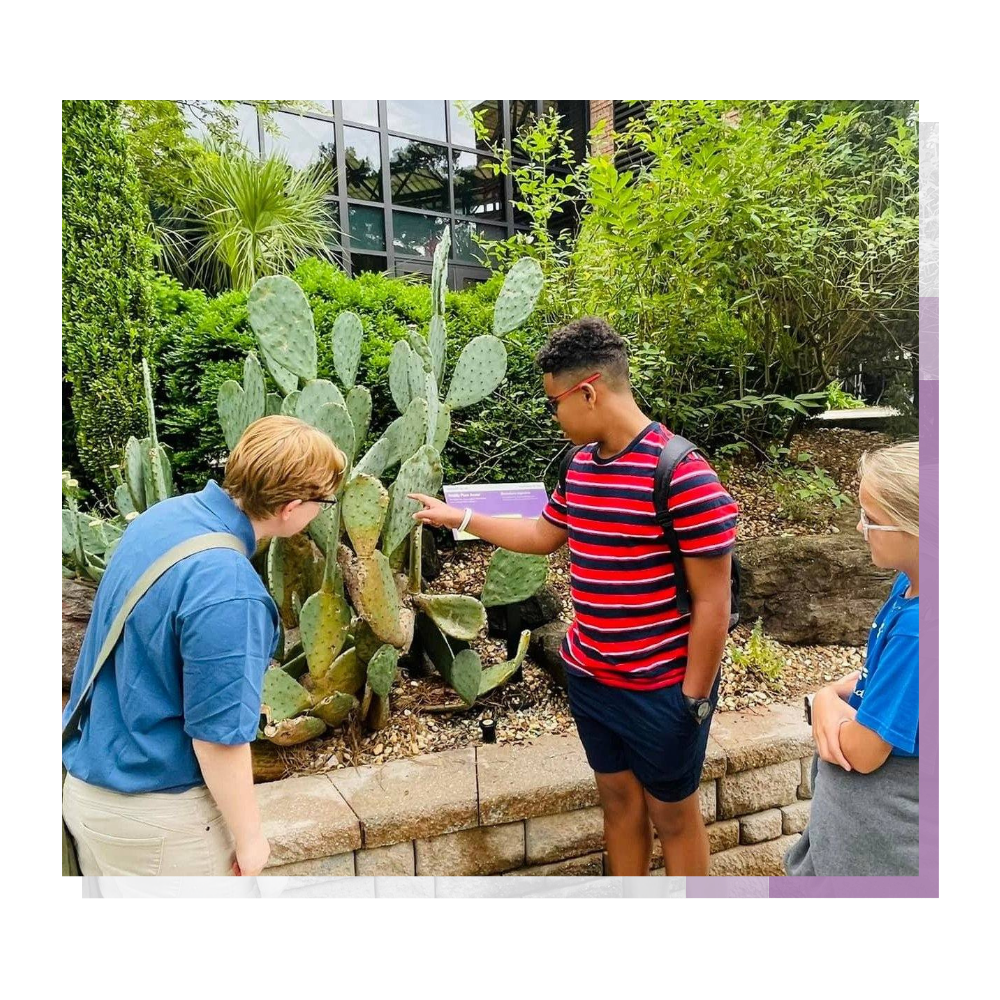 Field Trips to Cape Fear Botanical Garden