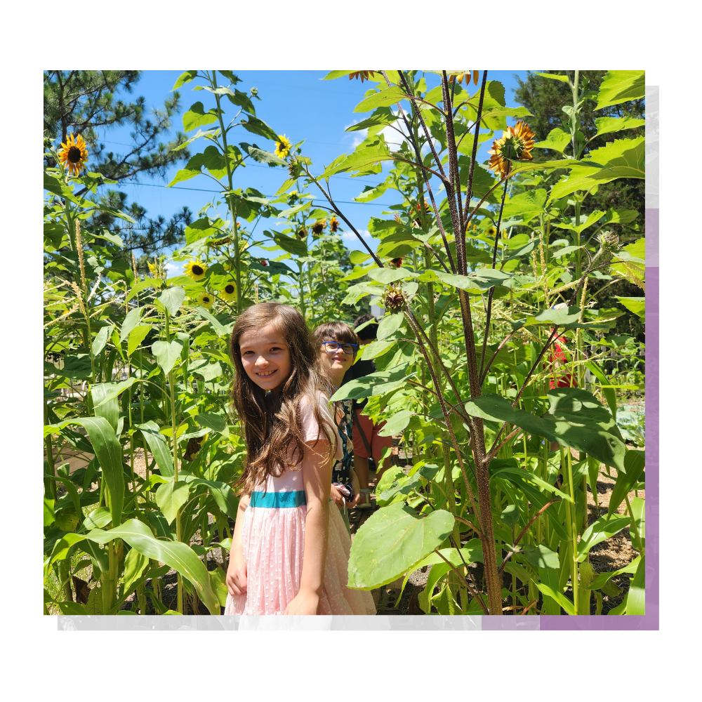 Scouts & Other Group Programs