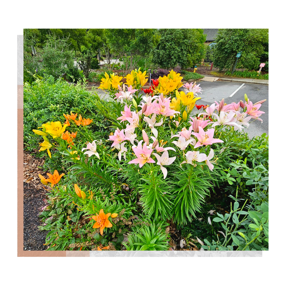 ensuring the Garden thrives in every season