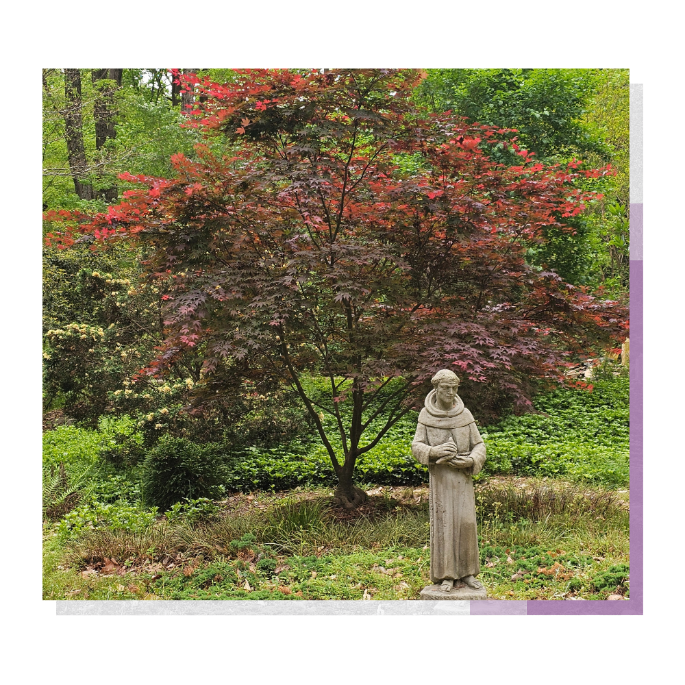 A Space for Connection and Solitude