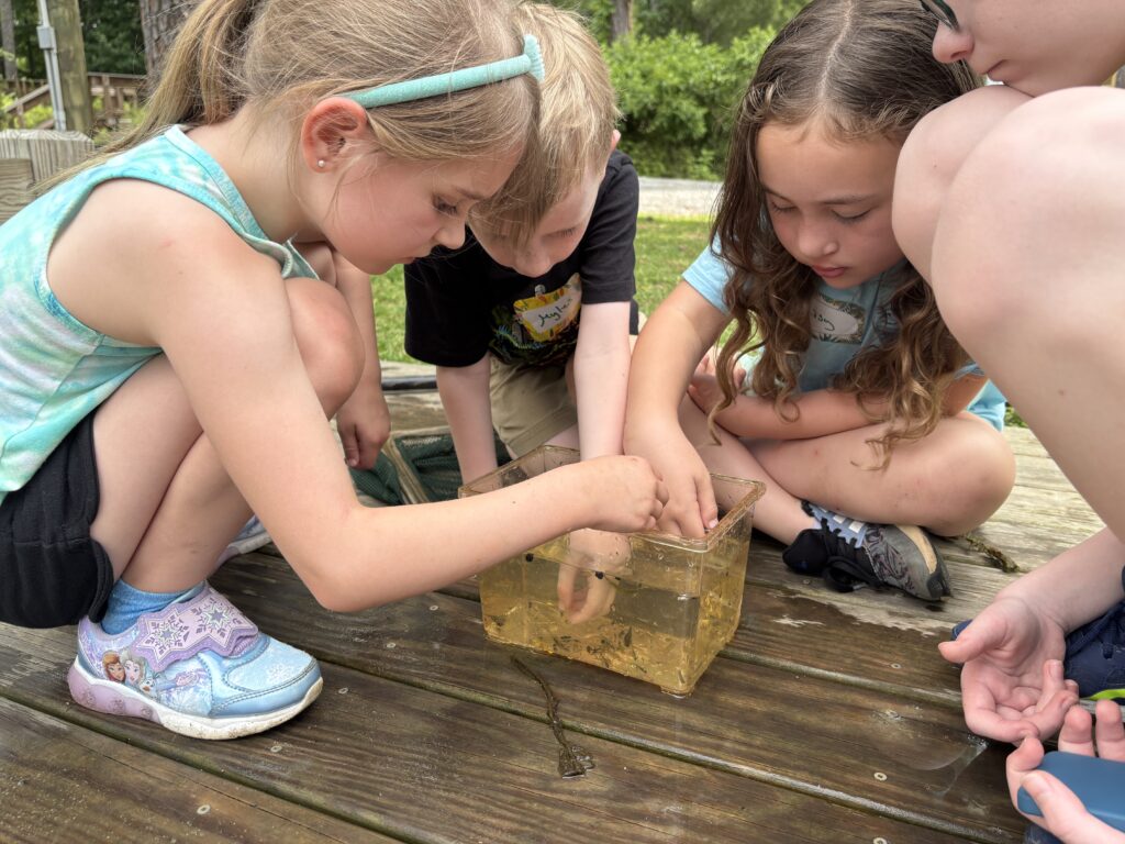 Chidren learning Cape Fear Botanical Gardens
