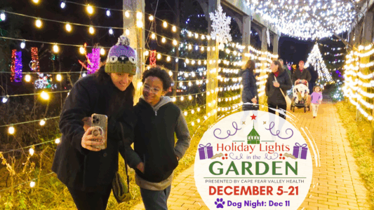 Holiday Lights 25 - Event Header