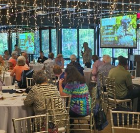 20230622_174225-EDIT