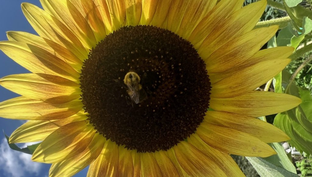 7.16.25-5_resized