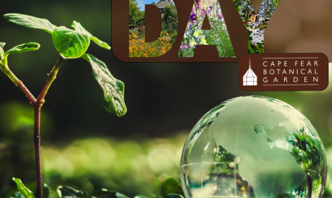 Garden _ Earth Day 2026