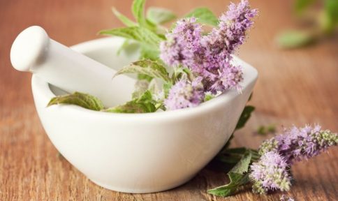Healing with Nature