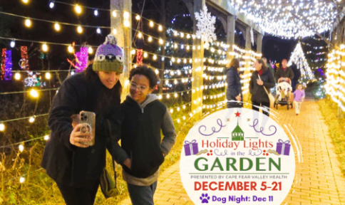 Holiday Lights 25 - Event Header