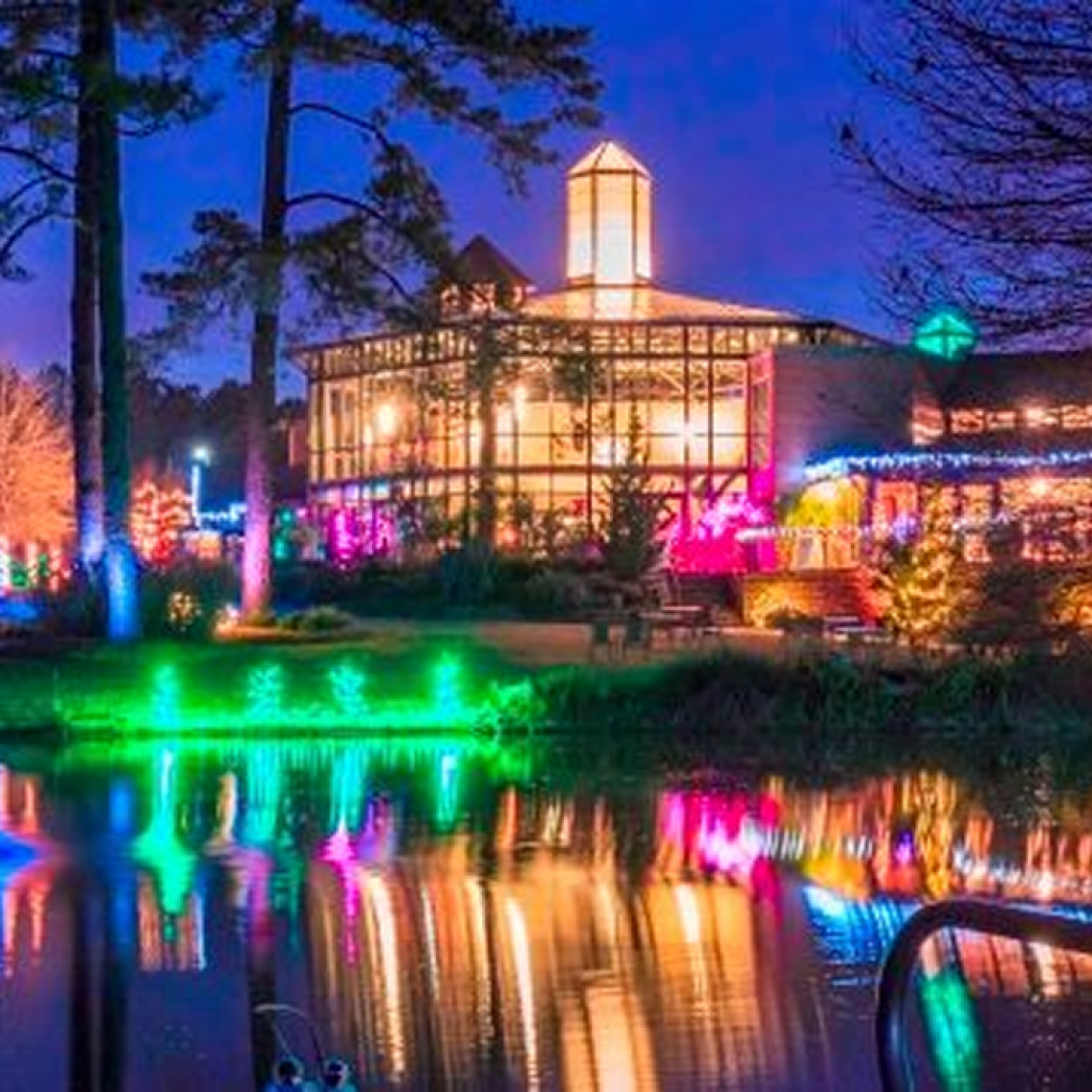 Holiday Lights in the Garden