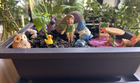 Homeschool.Fairy.garden