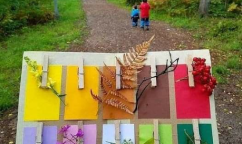 Preschool-Fall Colors