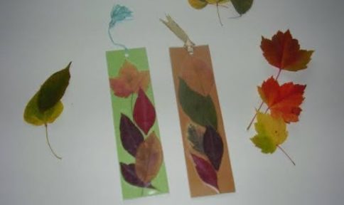 Preschool - Fall Pumpkin Fun