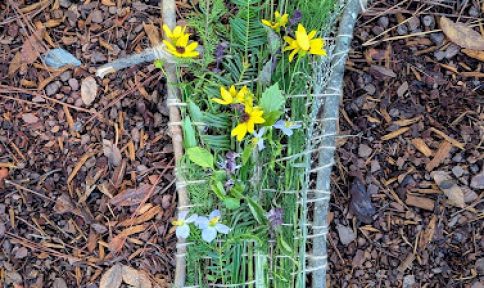 Wild Weaving