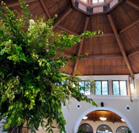 cape-fear-botanical-garden-10