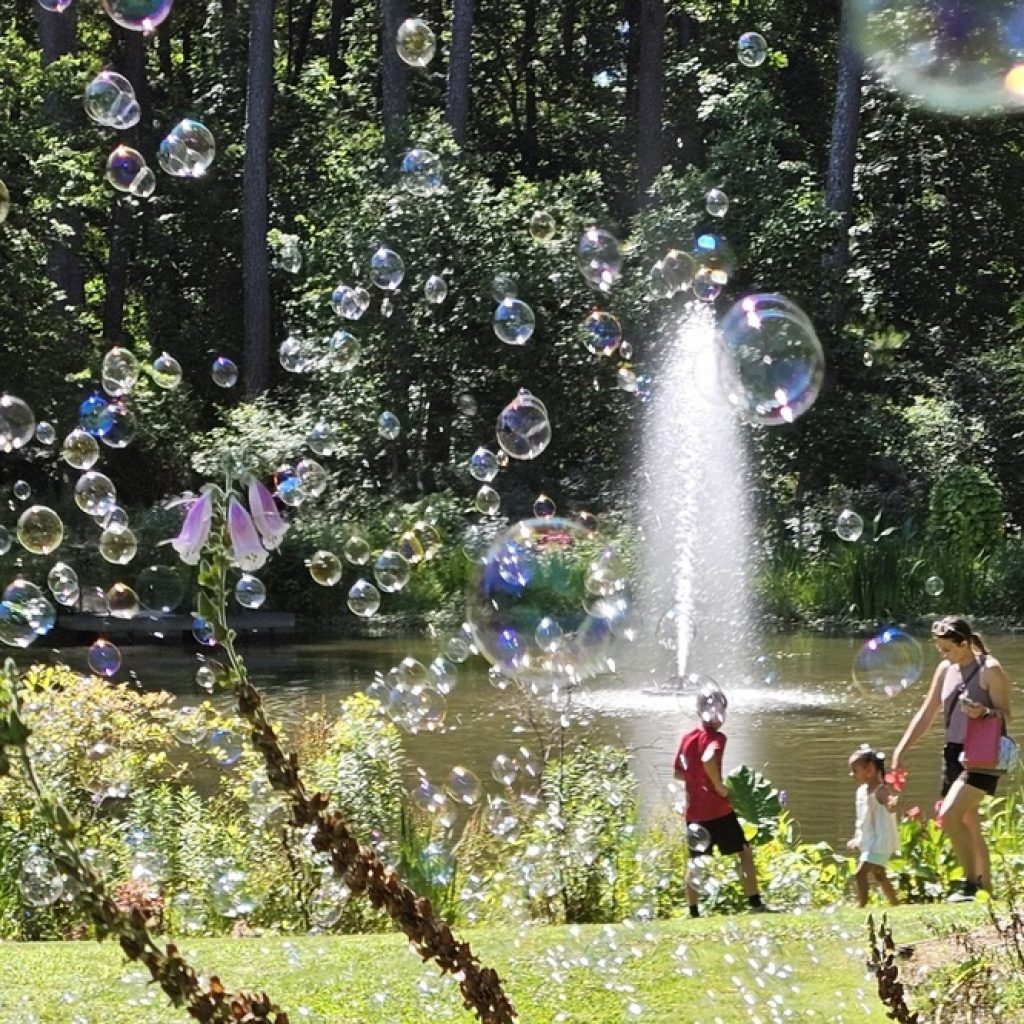 image_processed_1168x666_3