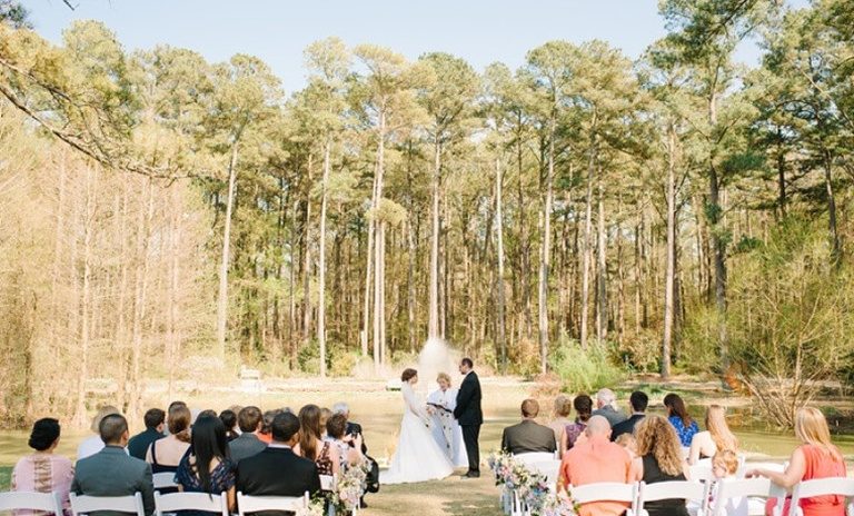 image_processed_768x464_6